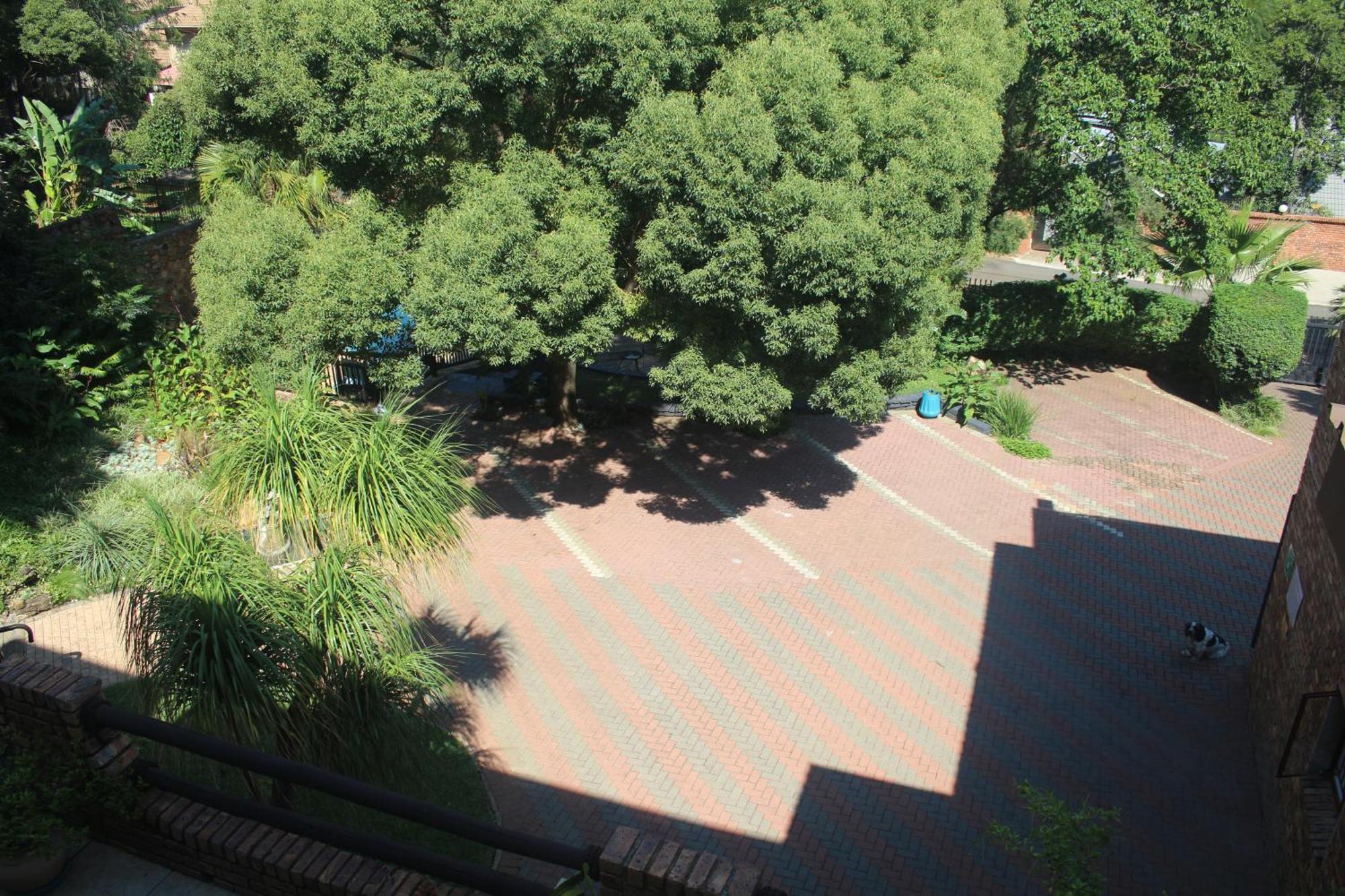 הארטביספורט Belle Vue Guesthouse מראה חיצוני תמונה